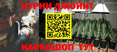 молекула духа Будённовск