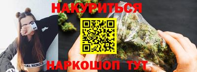 молекула духа Будённовск
