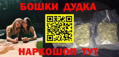молекула духа Будённовск