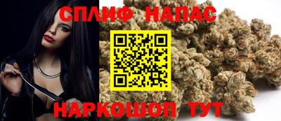 молекула духа Будённовск